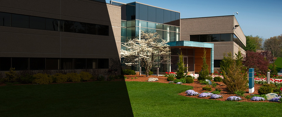 Pleasanton Landscapers