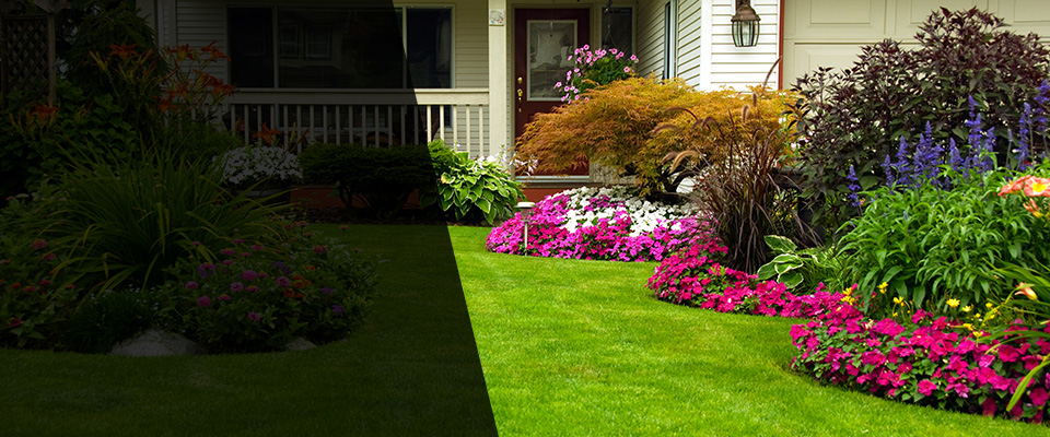 Pleasanton Landscapers