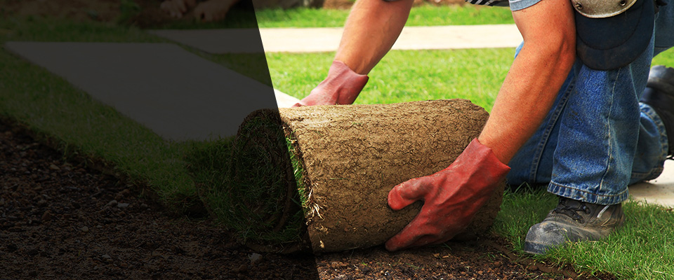 Pleasanton Landscapers